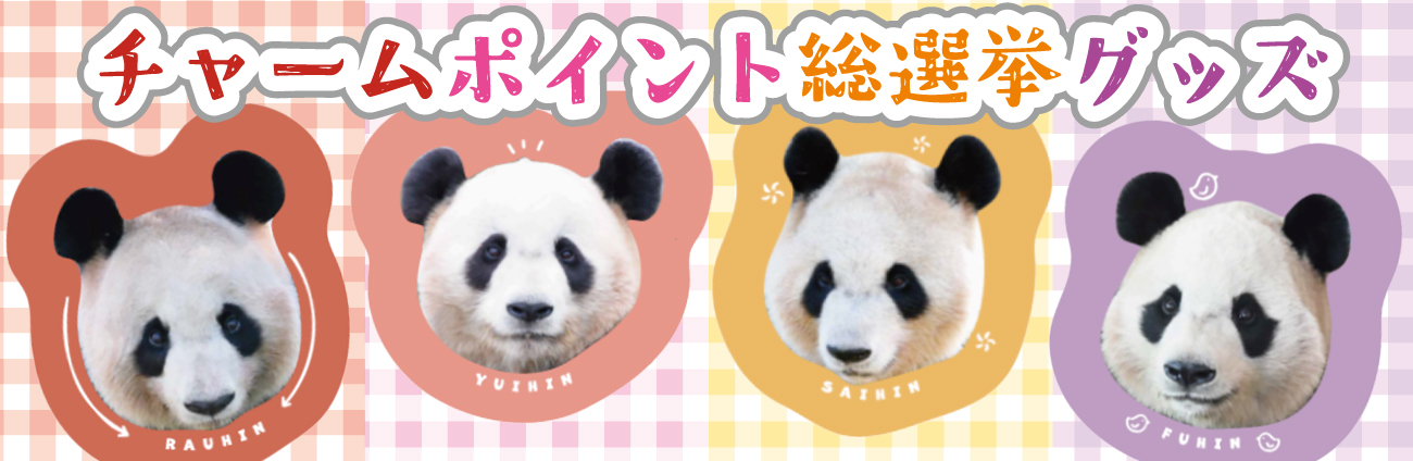 チャームポイント総選挙