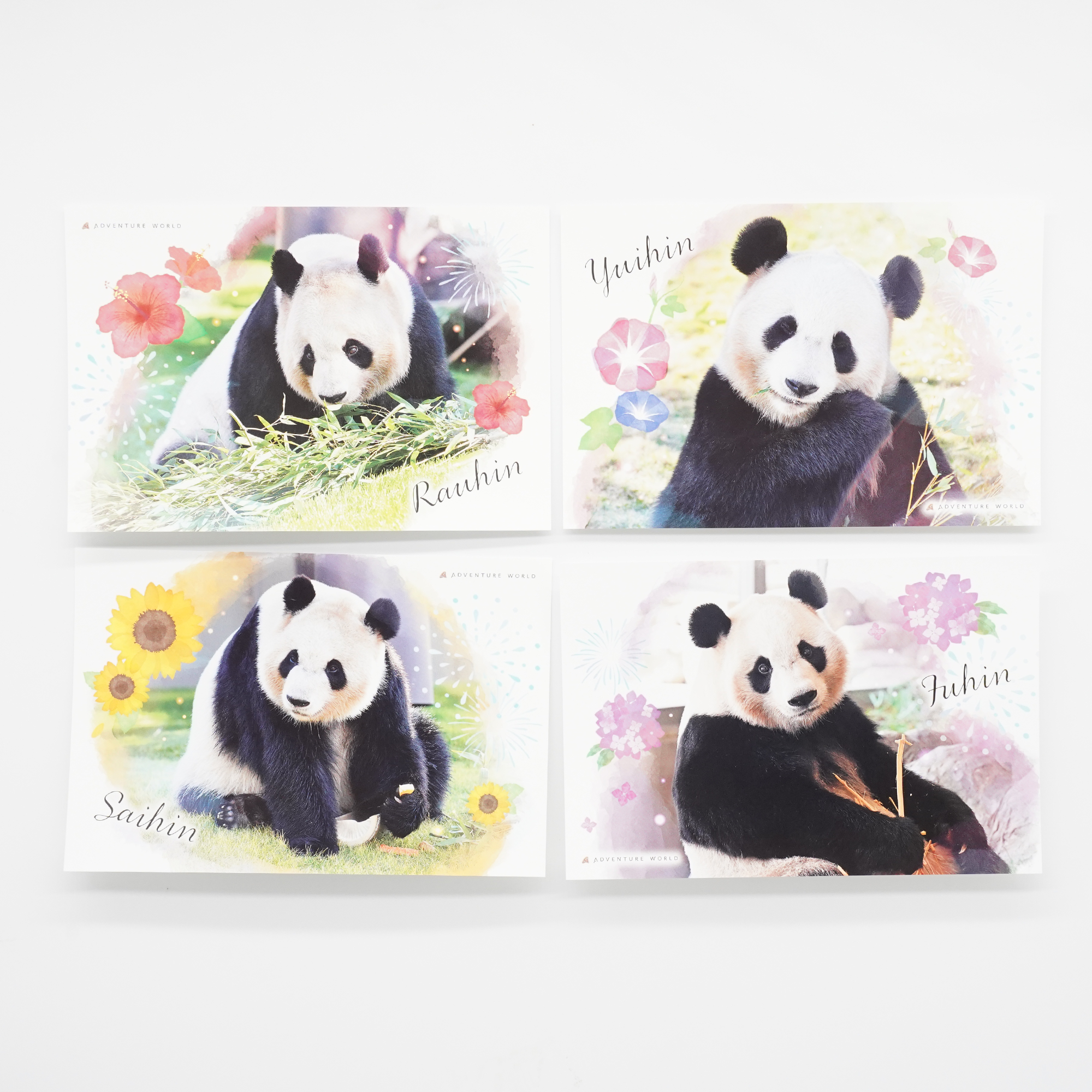 LIMEX製　パンダポストカード