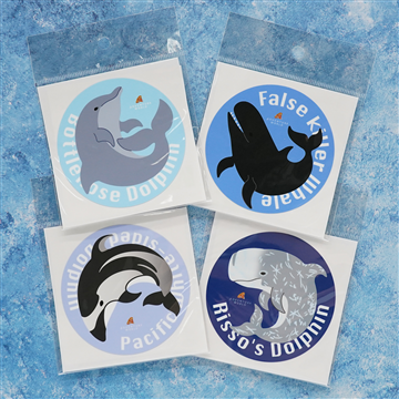 カーステッカー