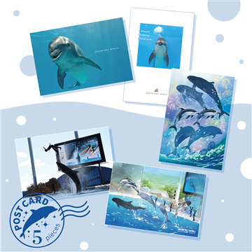 ポストカードセット（5枚入り）