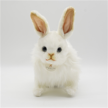 カイウサギぬいぐるみ