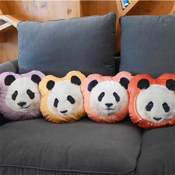 チャームポイント総選挙　ダイカットクッション