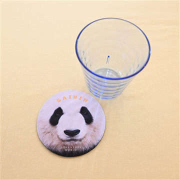 チャームポイント総選挙　彩浜コースター